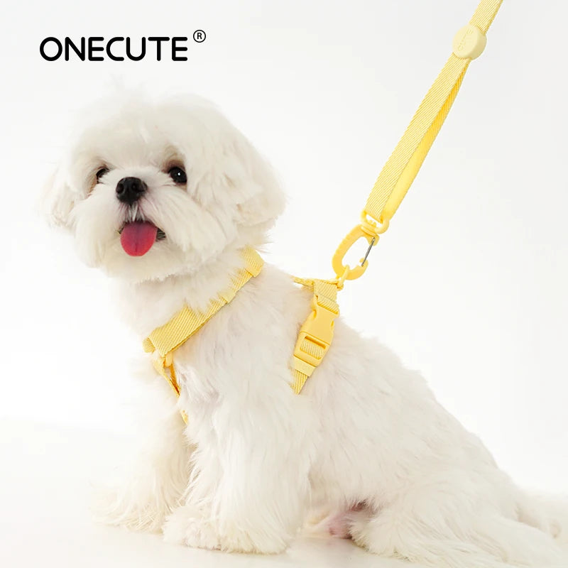 Dog Harness Dog Collar Dog Leash Macarone Color Cat Accessories Pet Small Dog Accessories Small Dog Harnessdog Supplies