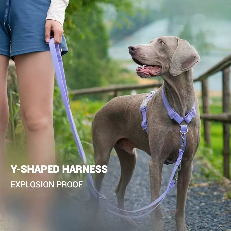 Waterproof Series Dog Collar Leash Harness Adjustable Collar Length Durable Small Dogs Medium Dogs Large Dogs Shiba Inu