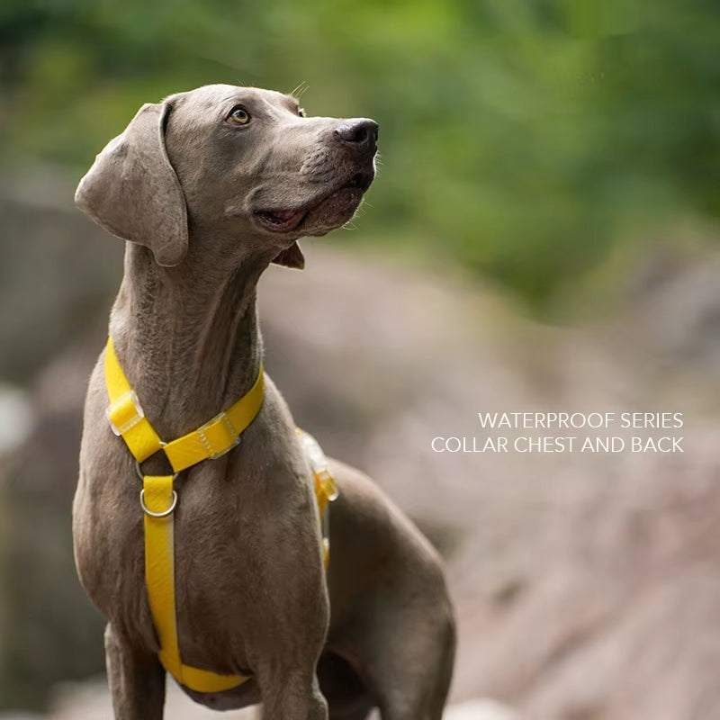 Waterproof Series Dog Collar Leash Harness Adjustable Collar Length Durable Small Dogs Medium Dogs Large Dogs Shiba Inu