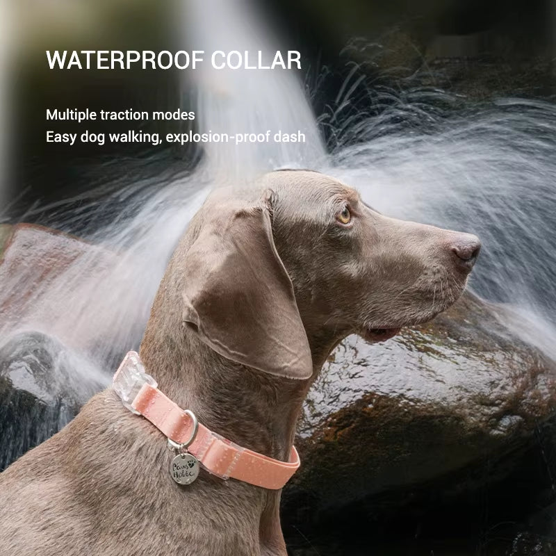 Waterproof Series Dog Collar Leash Harness Adjustable Collar Length Durable Small Dogs Medium Dogs Large Dogs Shiba Inu