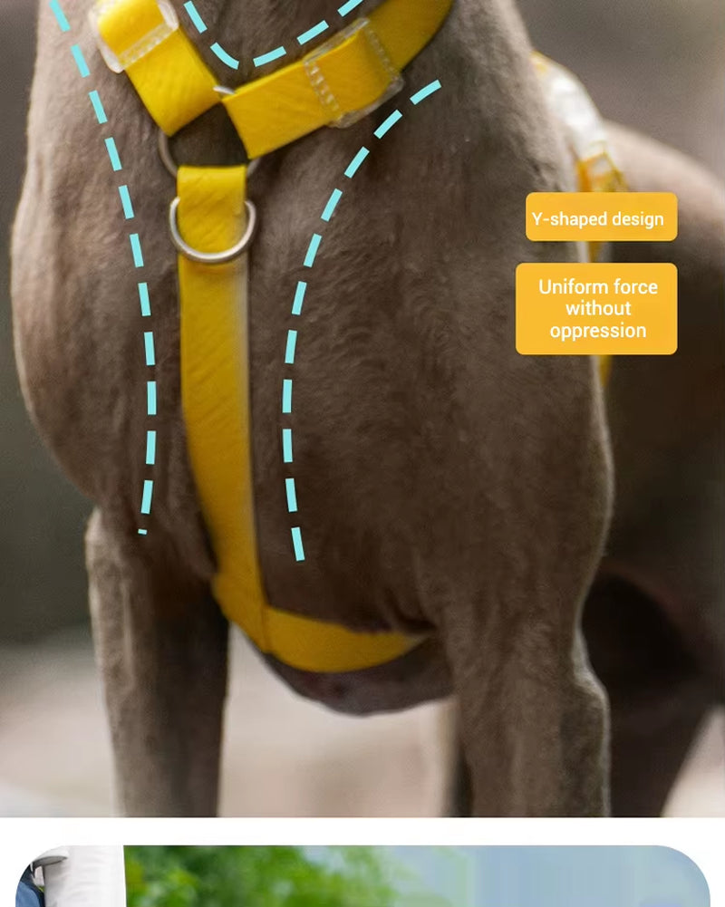 Waterproof Series Dog Collar Leash Harness Adjustable Collar Length Durable Small Dogs Medium Dogs Large Dogs Shiba Inu